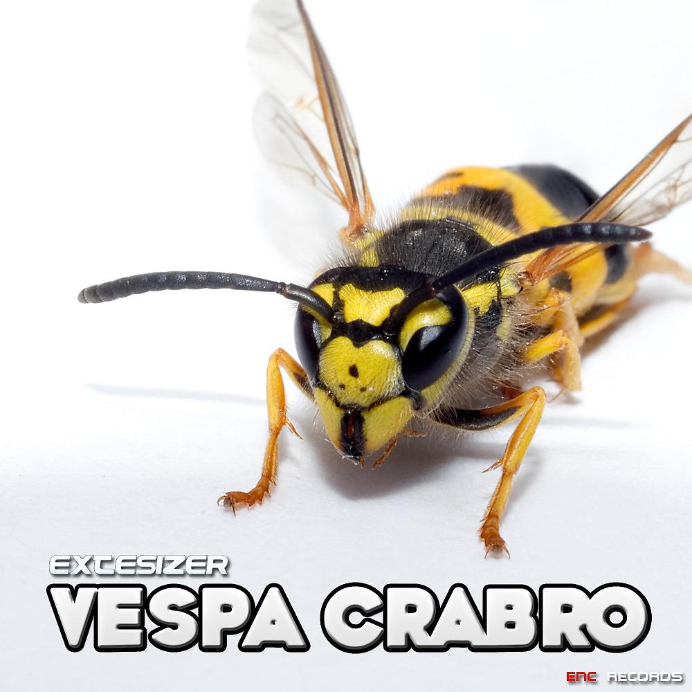 Постер альбома Vespa Crabro