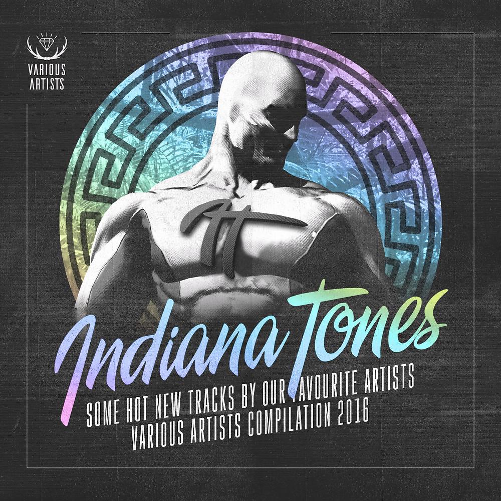 Постер альбома Indiana Tones (Compilation 2016)