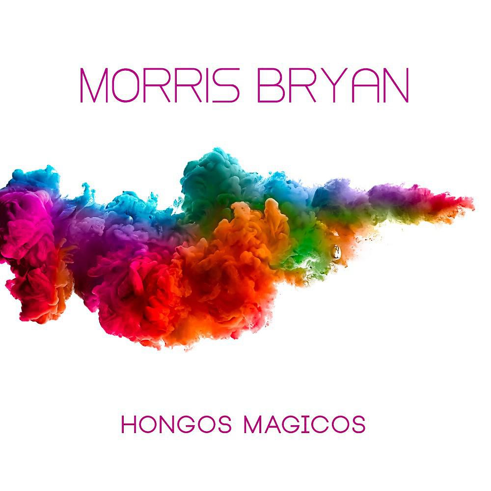 Постер альбома Hongos Magicos