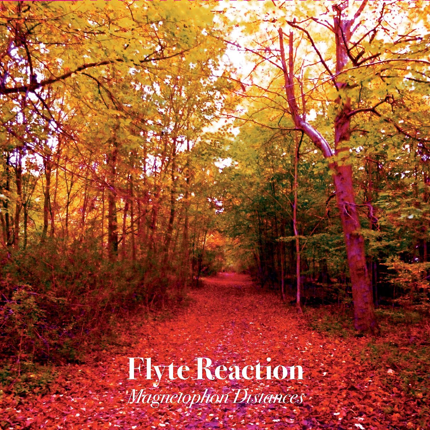 Flyte Reaction - Magnetophon Distances