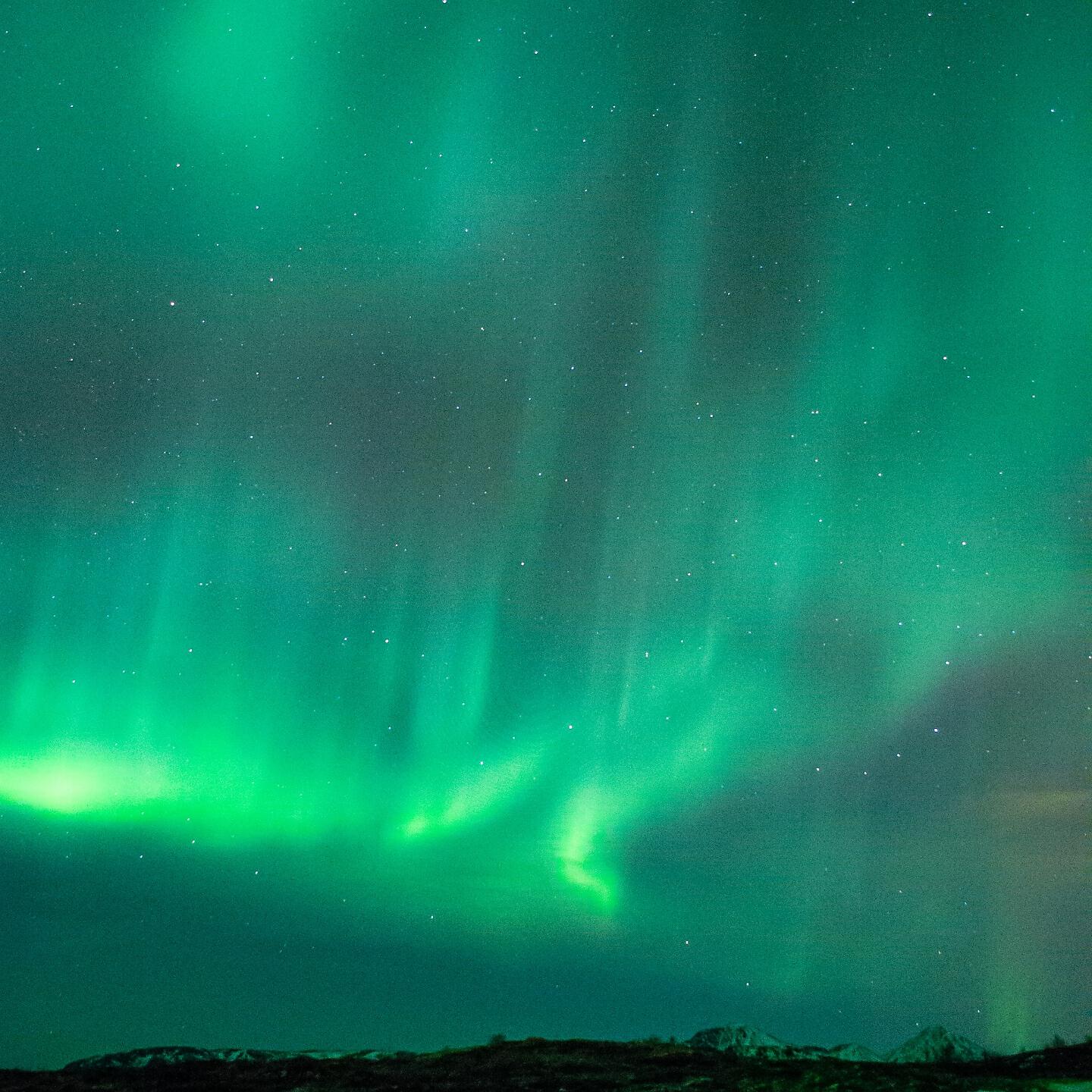 The Constellation Lyra - Reykjavik