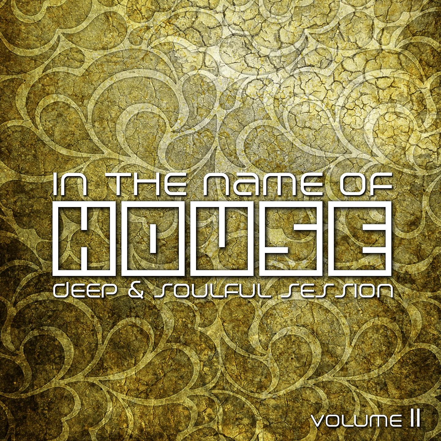 Постер альбома In the Name of House - Deep & Soulful Session #11