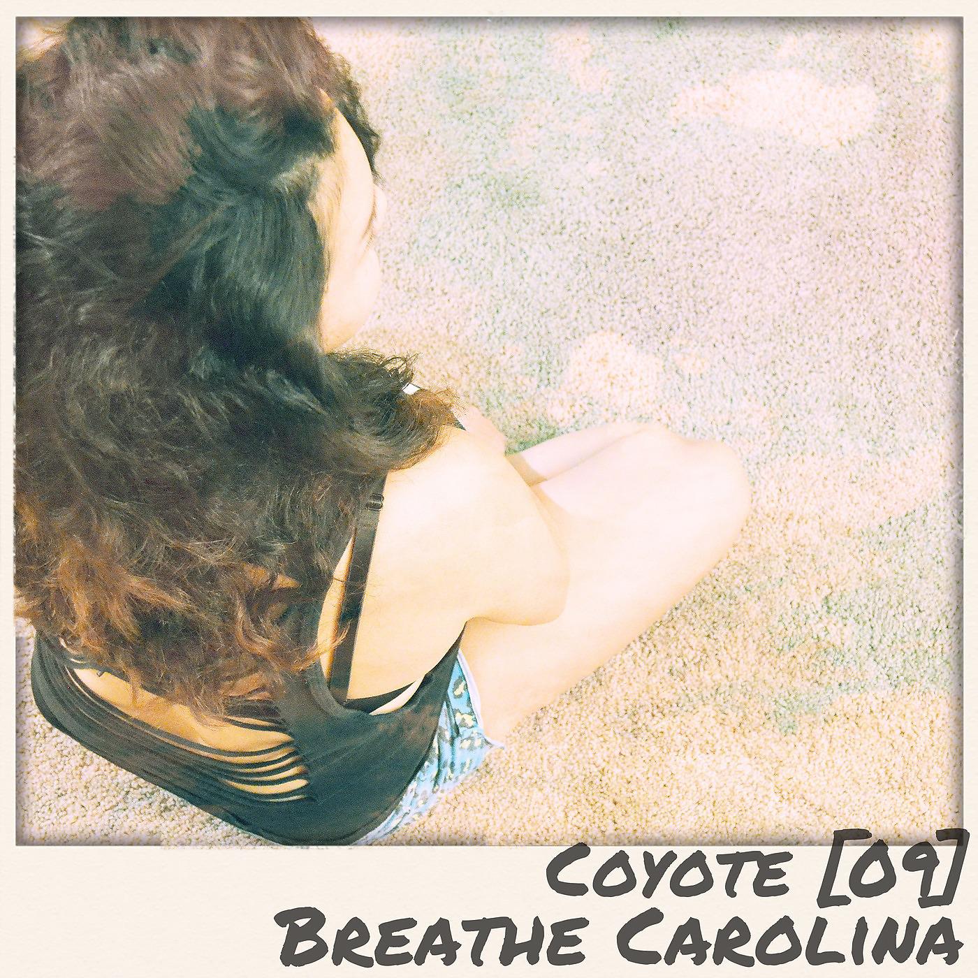 Постер альбома Breathe Carolina