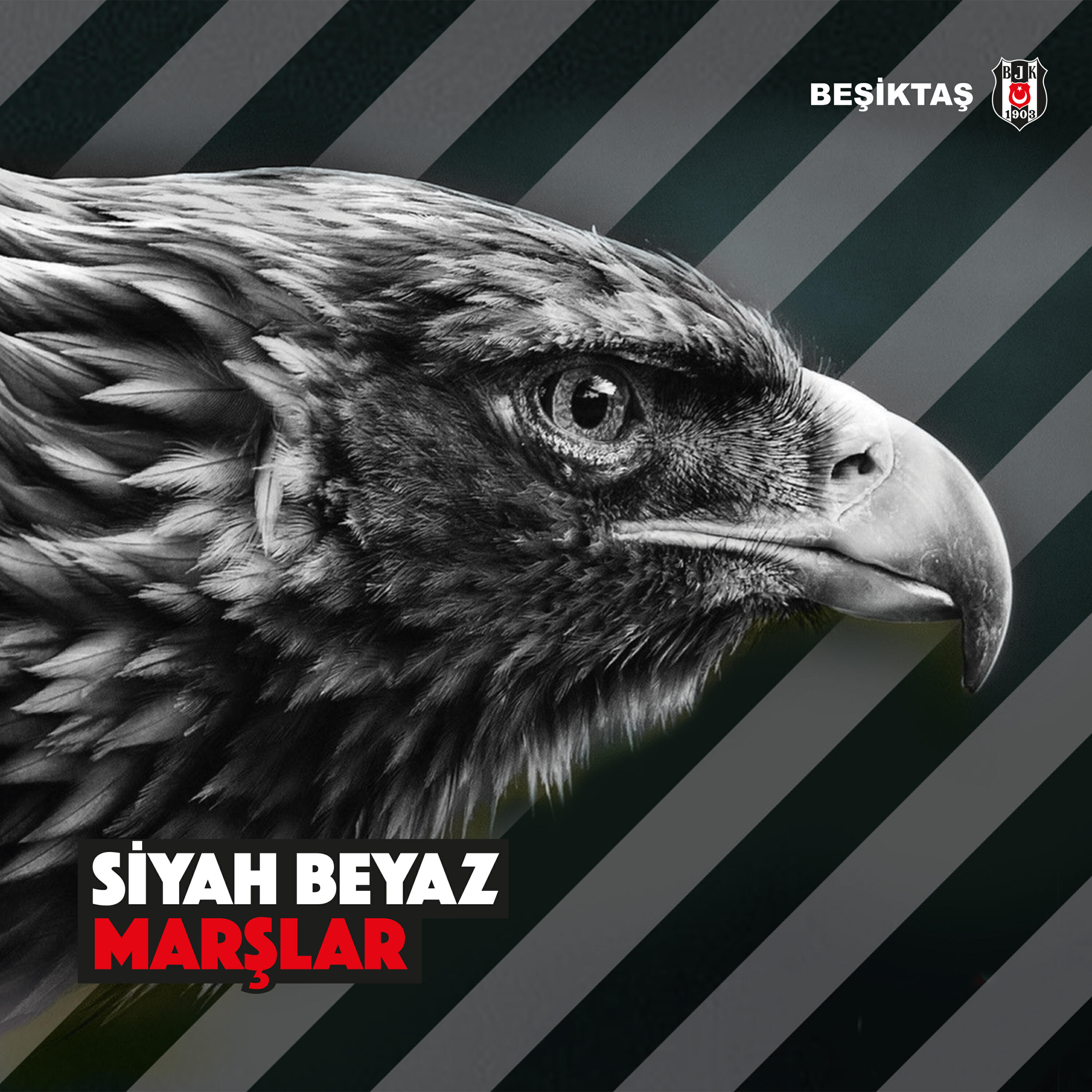 Birol Can - Sen Benim Her Gece Efkarım