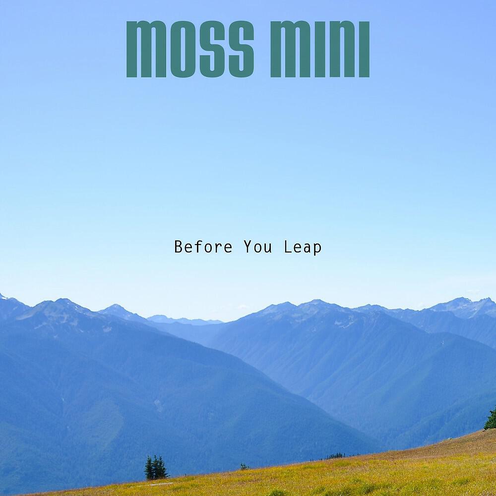 Before You Leap - My Sweet Pepper Land