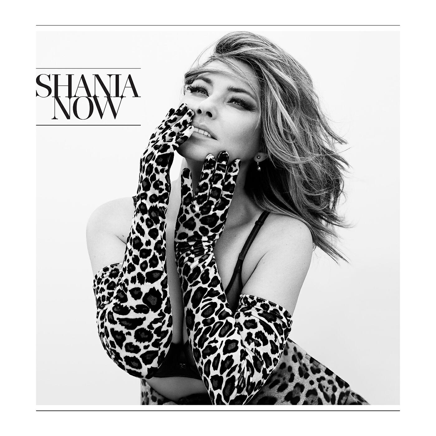 Shania Twain - More Fun