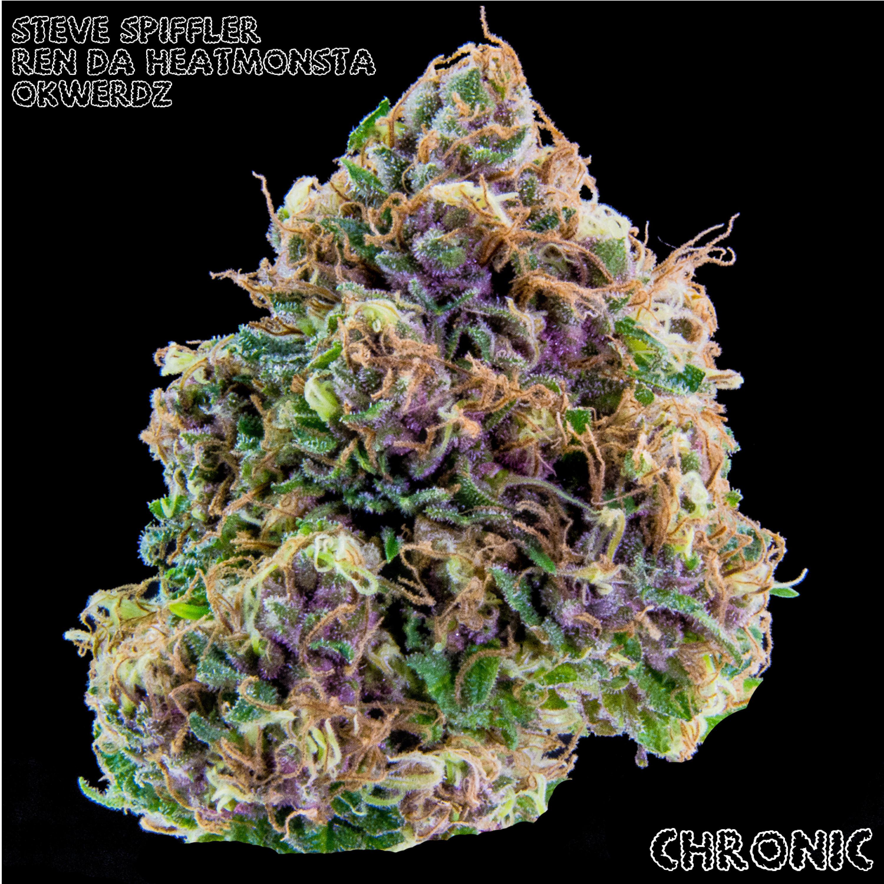 Steve Spiffler - Hooked on Chronic (feat. Ren Da Heat Monsta & Okwerdz)