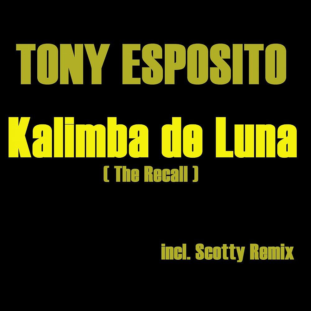 Постер альбома Kalimba De Luna (The Recall)