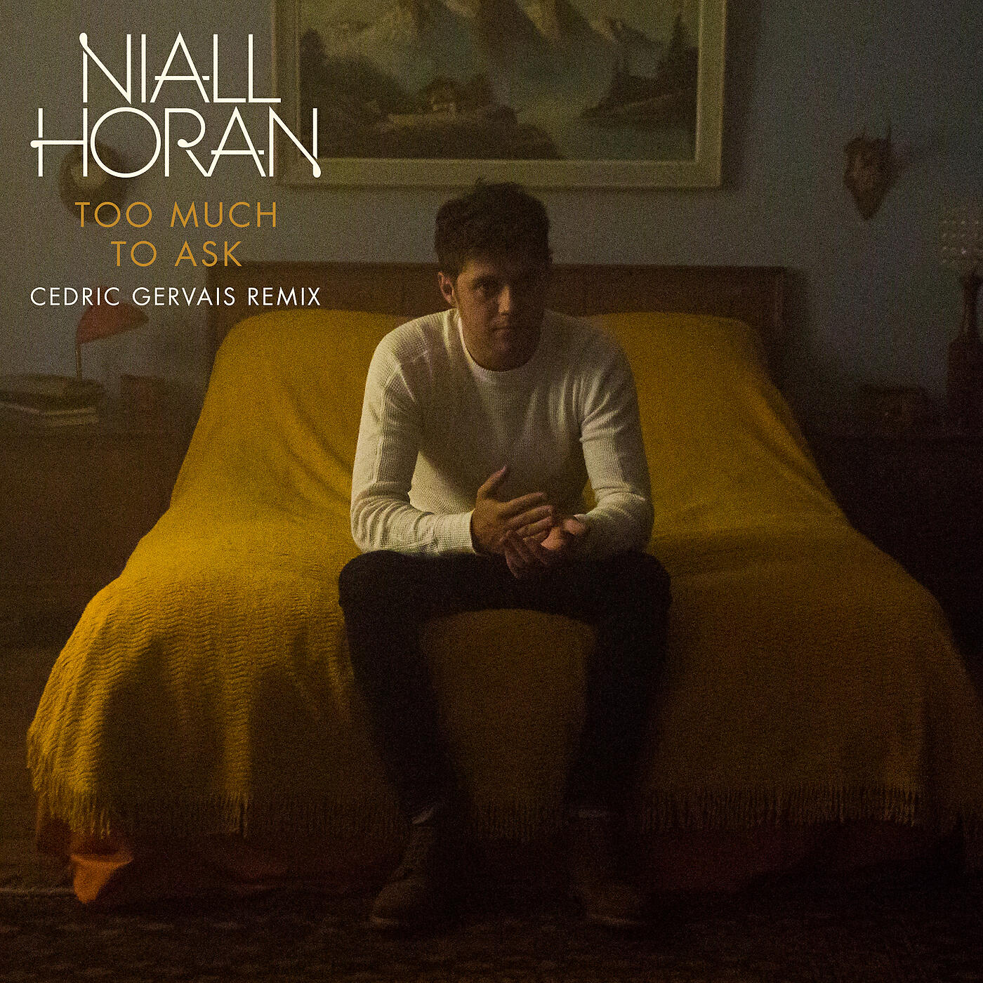 Niall Horan - Too Much To Ask (Cedric Gervais Remix)