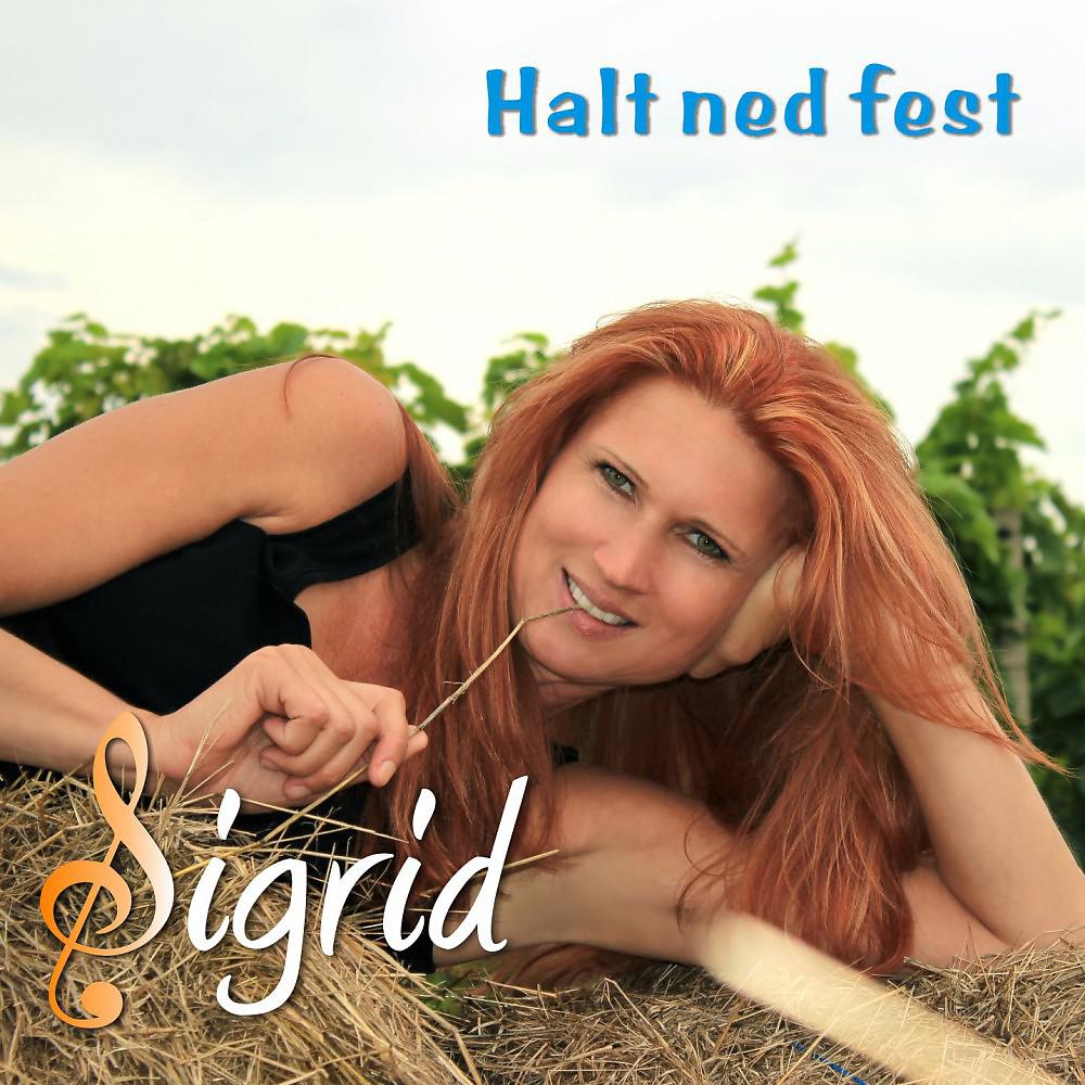 Постер альбома Halt ned fest