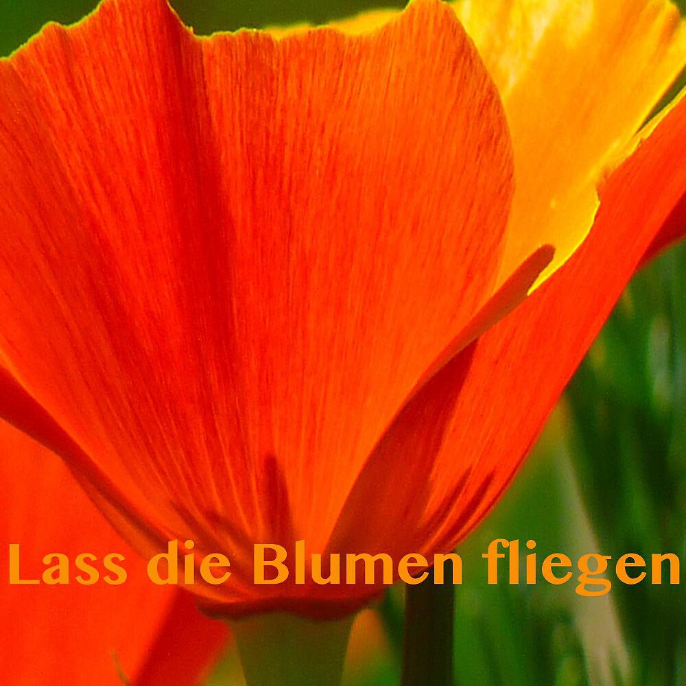 Die Ohrenbärte - Liebeskummer lohnt sich nicht