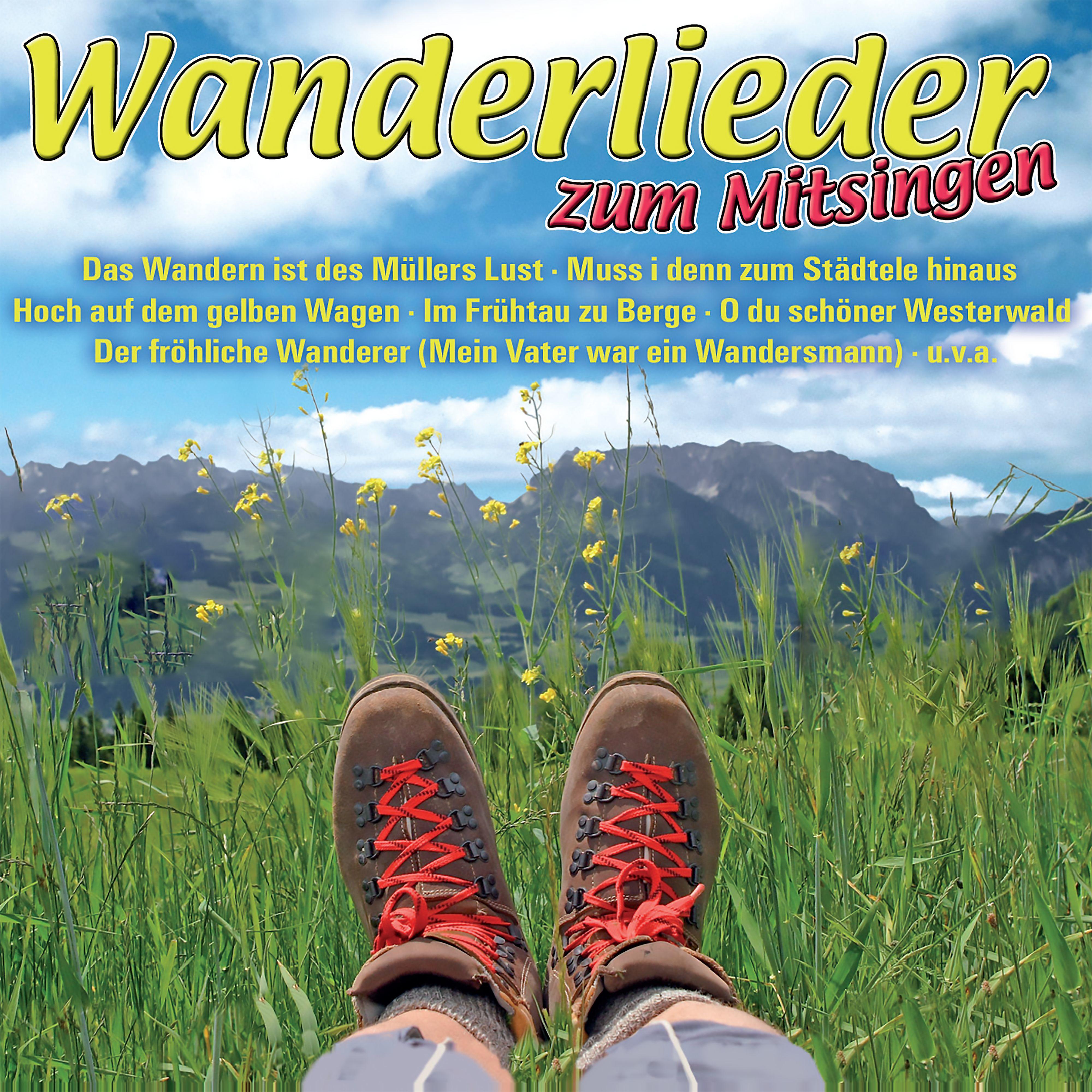 Постер альбома Wanderlieder zum Mitsingen