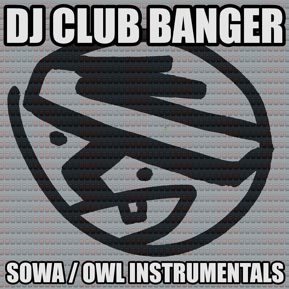 Постер альбома Sowa / Owl Instrumentals
