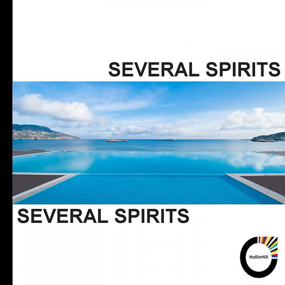 Постер альбома Several Spirits