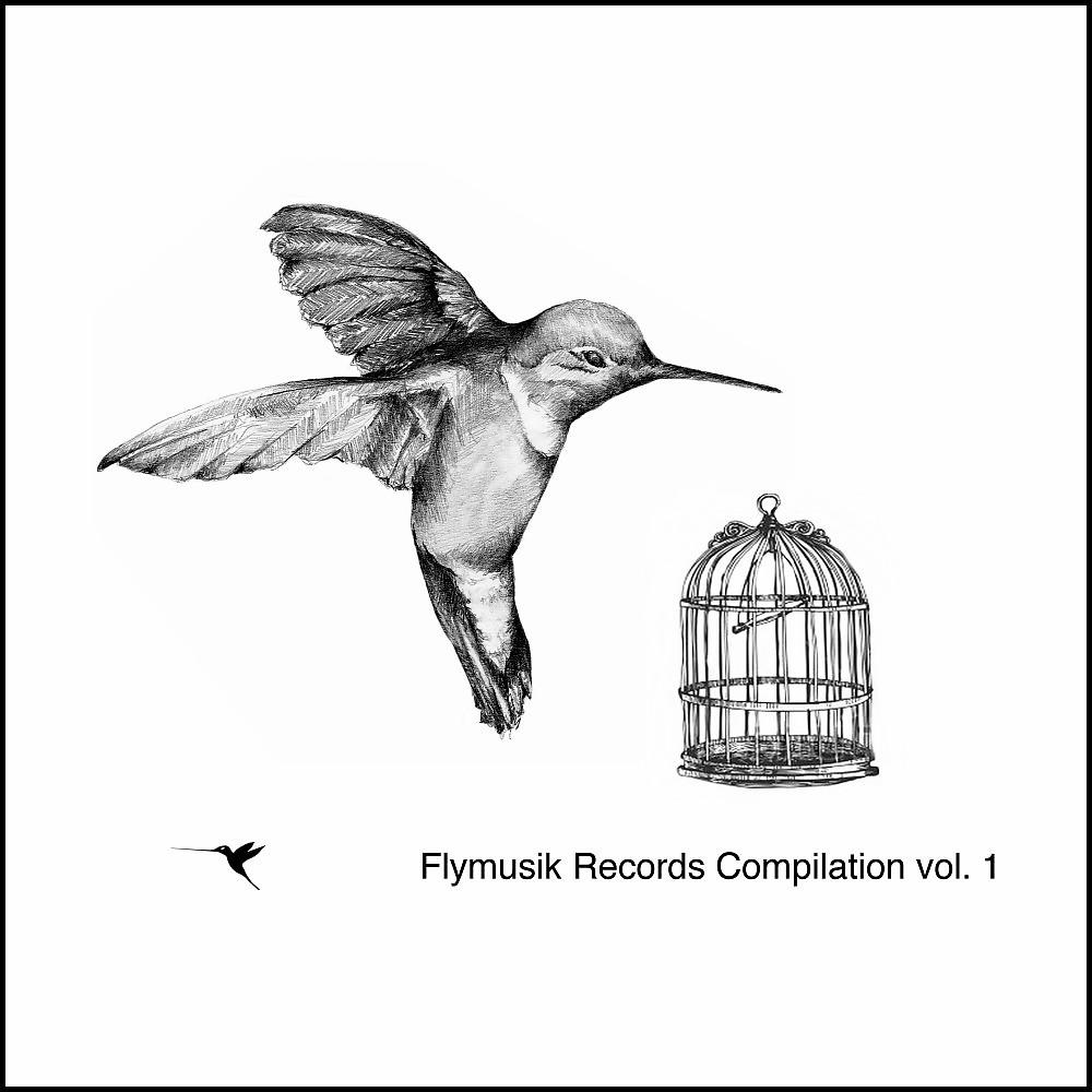 Постер альбома Flymusik Records Compilation, Vol. 1