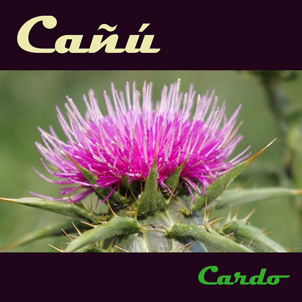 Постер альбома Cardo