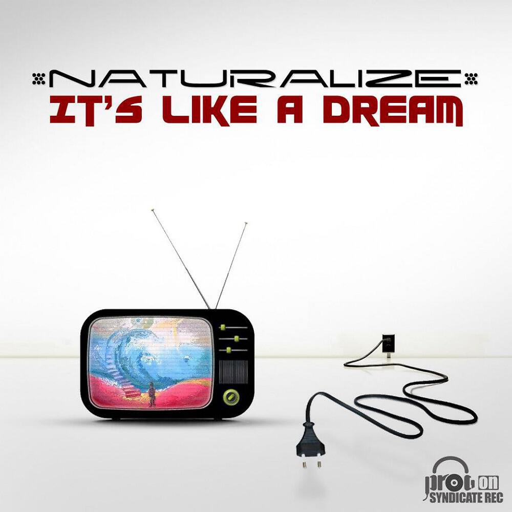Naturalize - It's Like a Dream