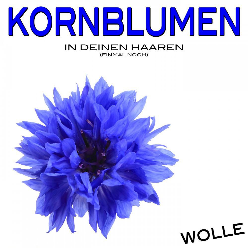 Постер альбома Kornblumen in deinen Haaren (Einmal noch)
