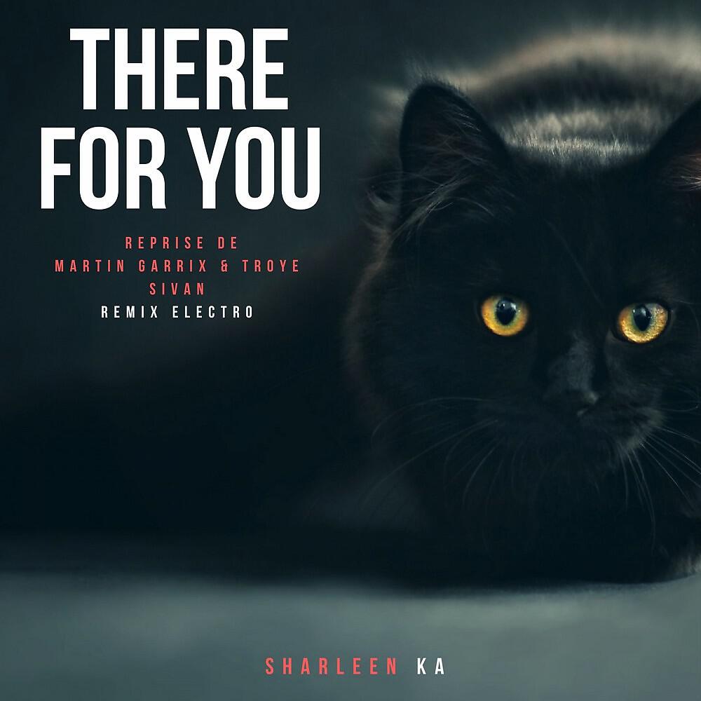 Sharleen Ka - There for You (Reprise De Martin Garrix & Troye Sivan Remix Electro)