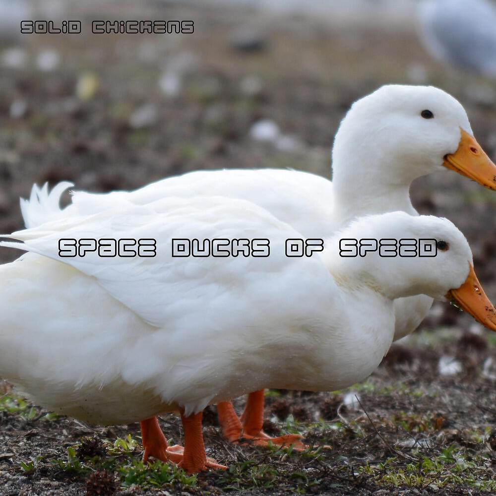Solid Chickens - Walk in the Sky