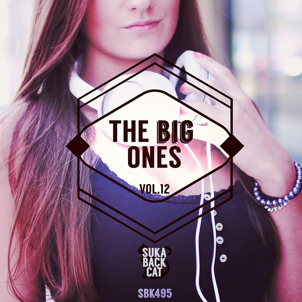 Постер альбома The Big Ones, Vol. 12