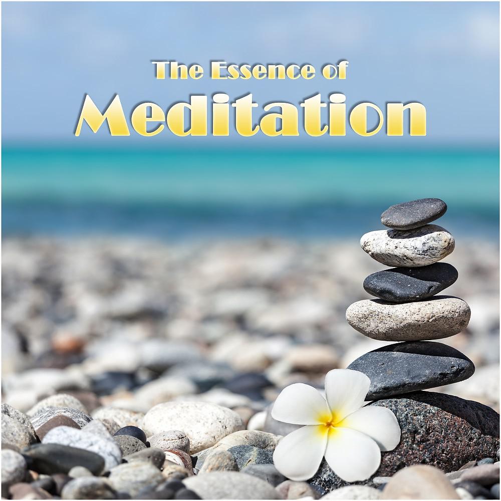 Постер альбома The Essence of Meditation