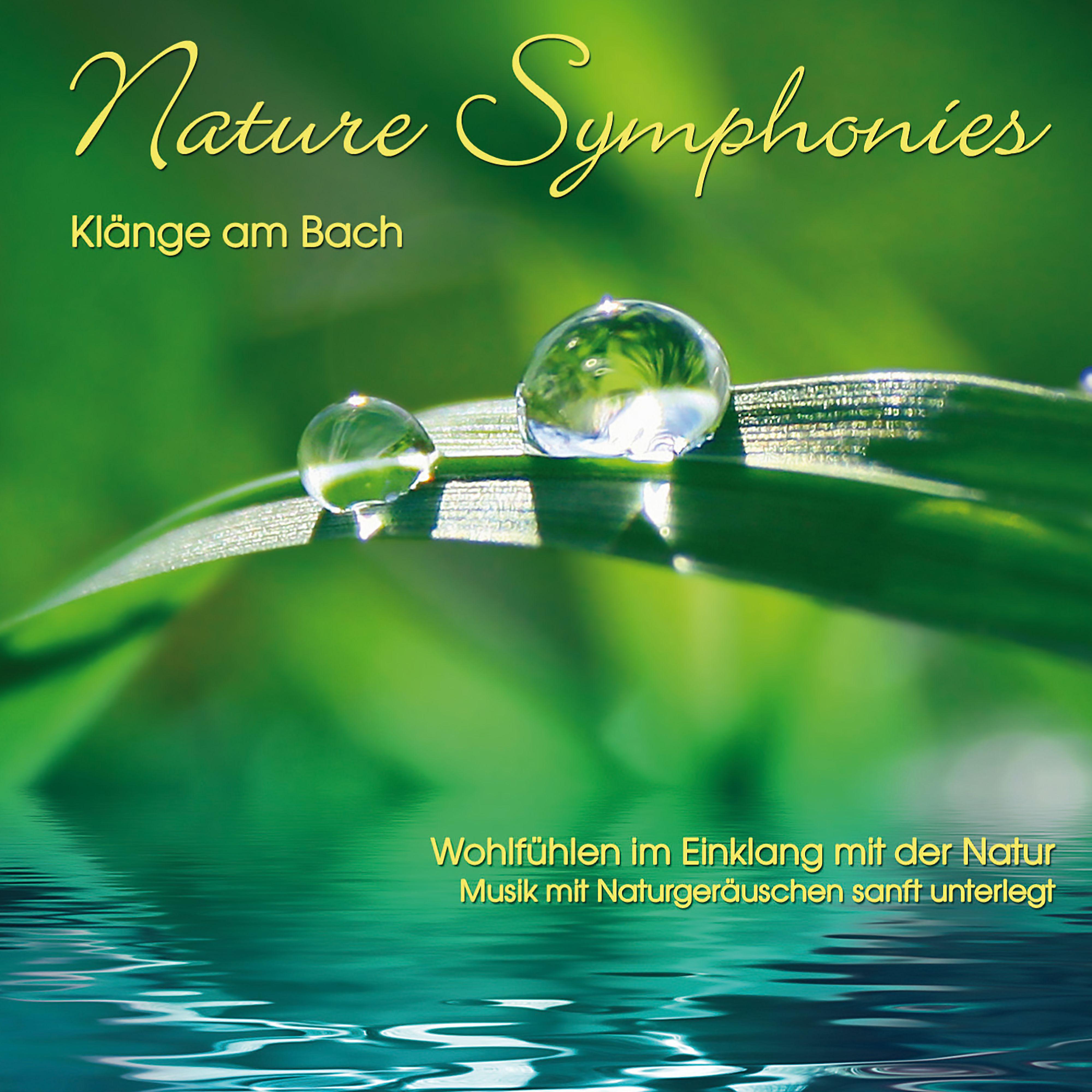 Постер альбома Nature Symphonies: Klänge am Bach