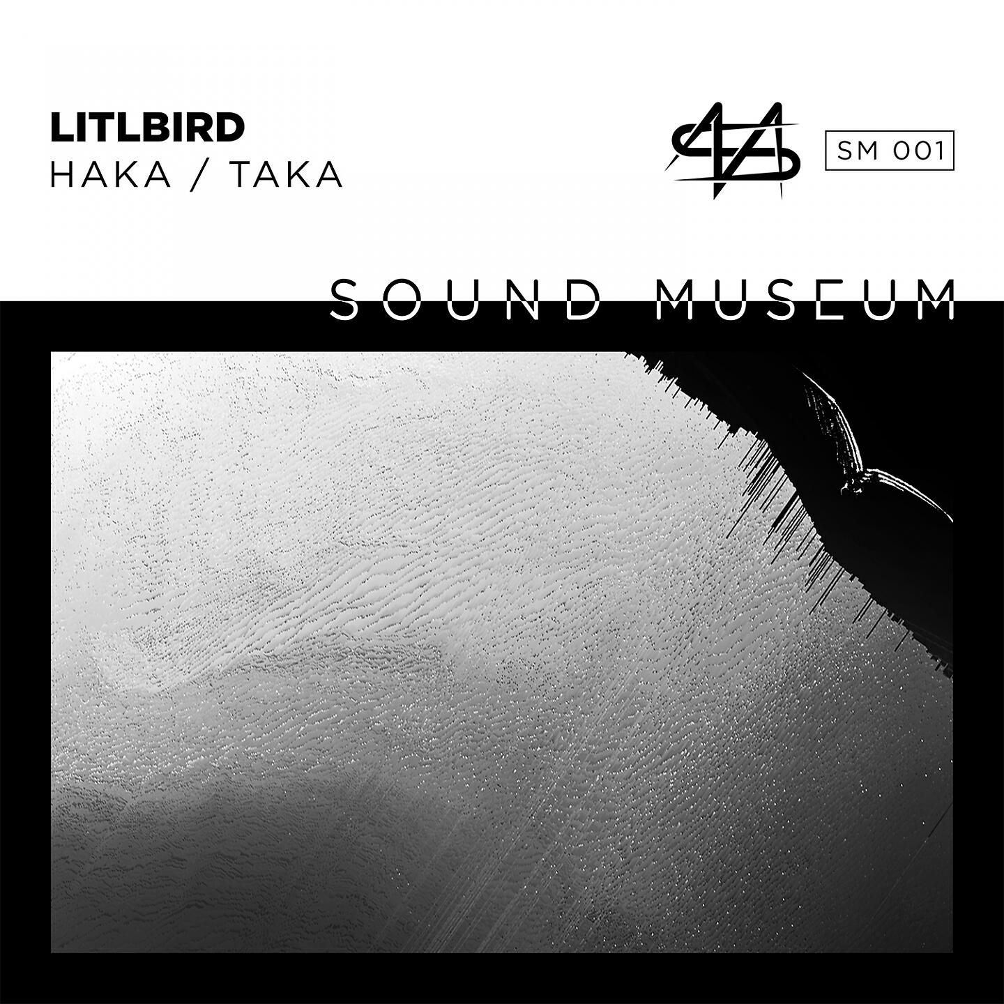 LITLBIRD - HAKA