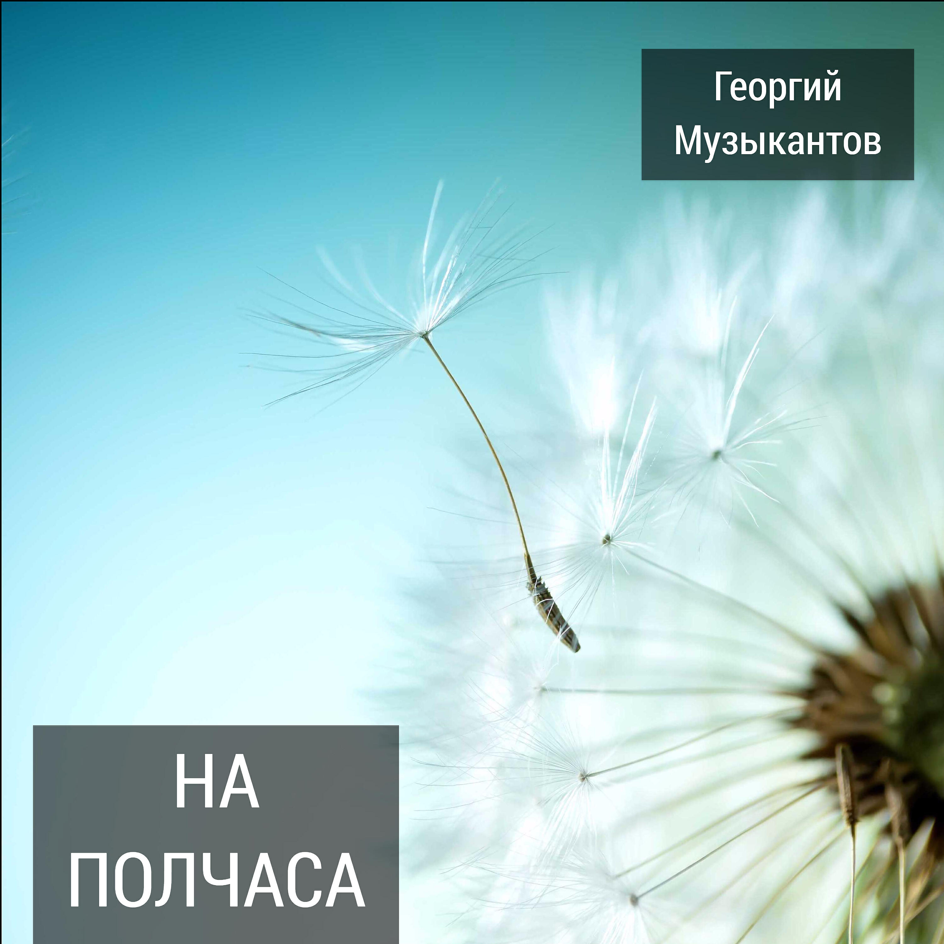 Георгий Музыкантов - Сам себе прокурор