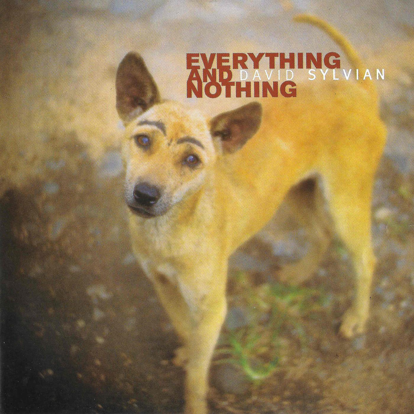 Постер альбома Everything & Nothing
