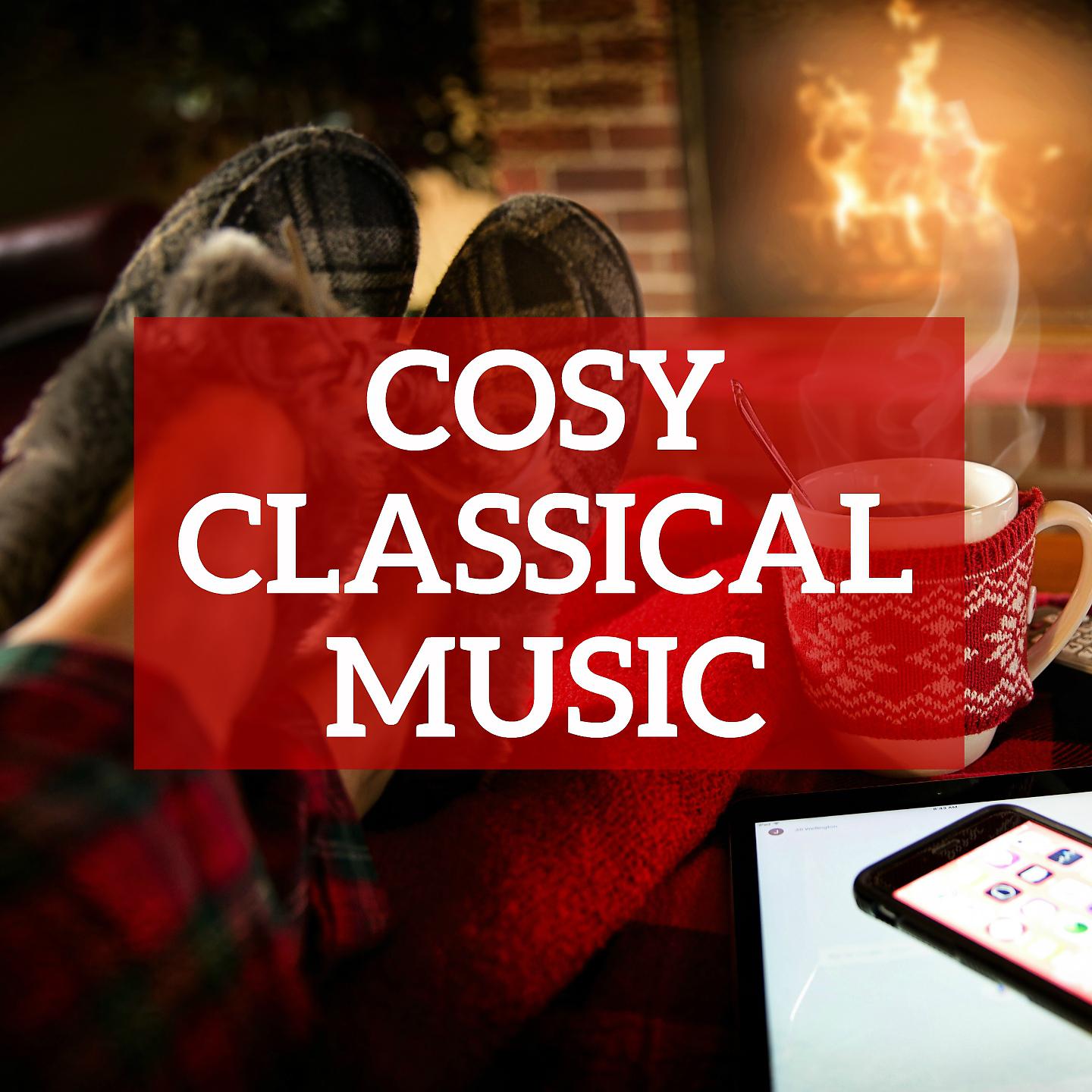 Постер альбома Cosy Classical Music