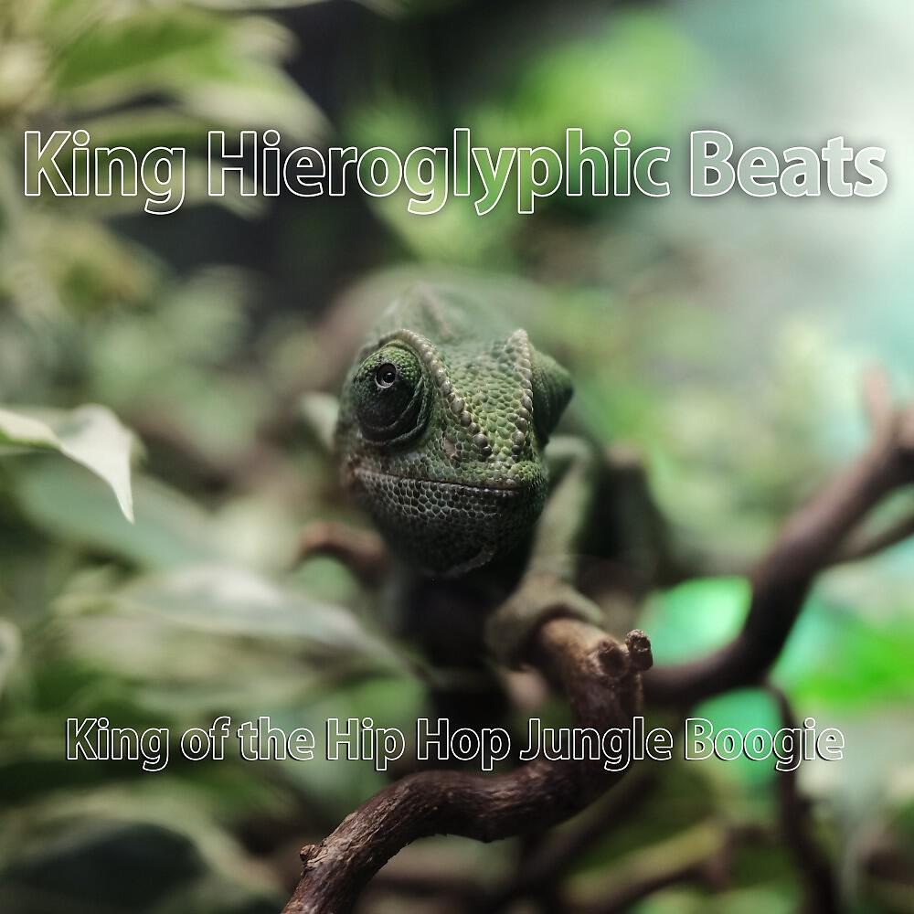 King Hieroglyphic Beats - Everything Pointless Again (Rap Bass and Drums Instrumental Extended Mix)