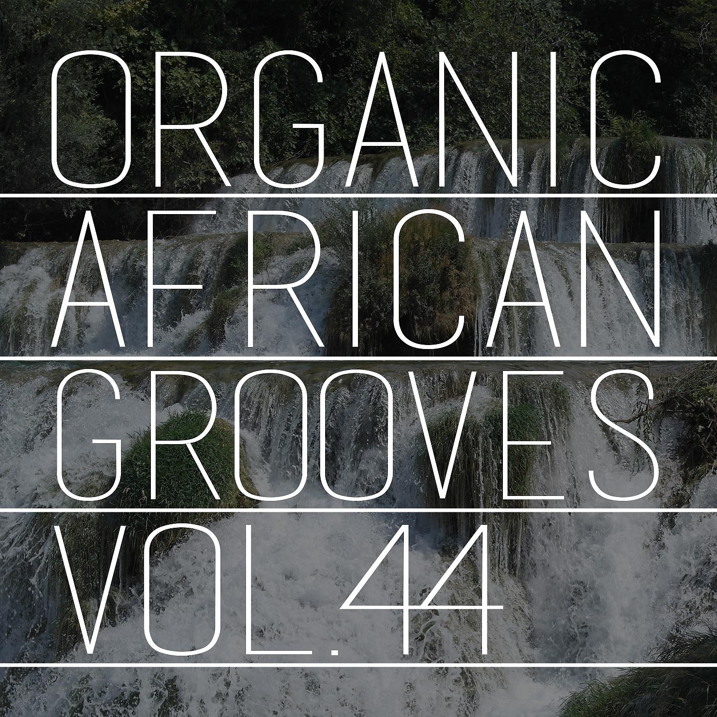 Постер альбома Organic African Grooves, Vol.44