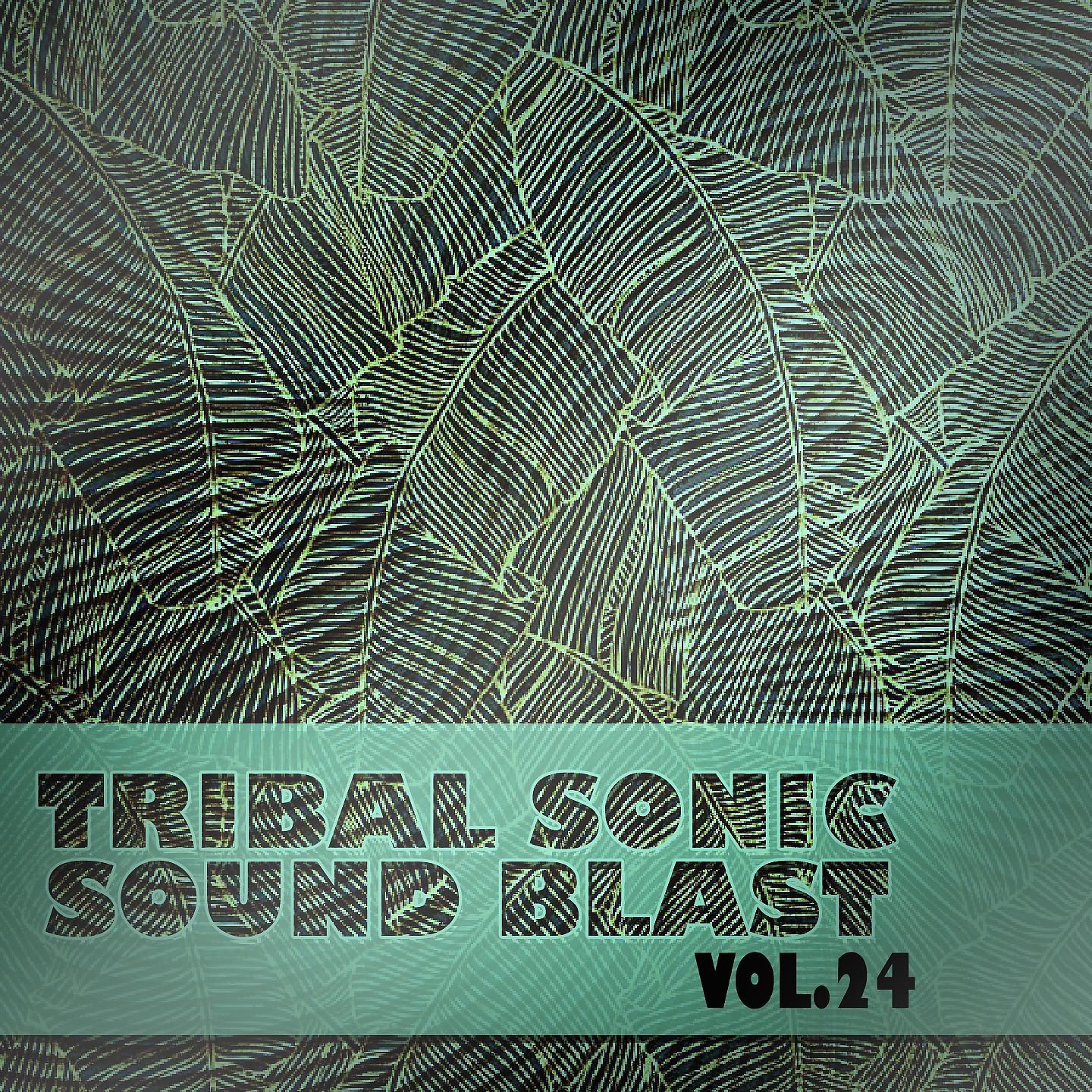Постер альбома Tribal Sonic Soundblast,Vol.24