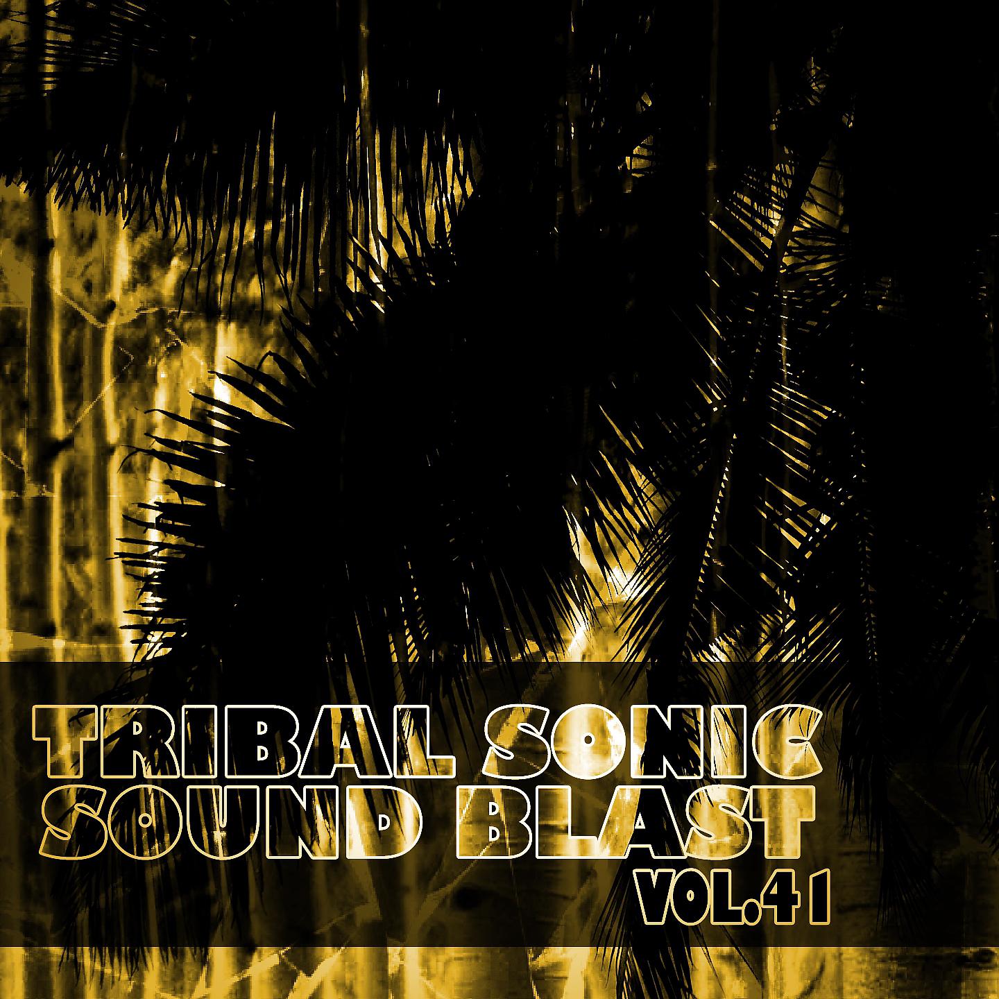 Постер альбома Tribal Sonic Soundblast,Vol.41