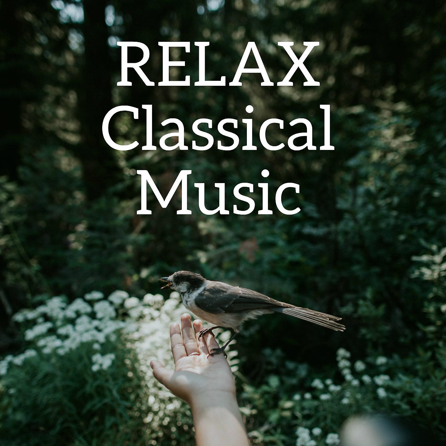 Постер альбома Relax Classical Music