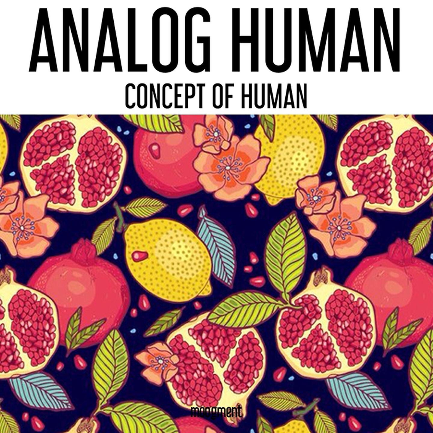 Analog Human - Elephunk