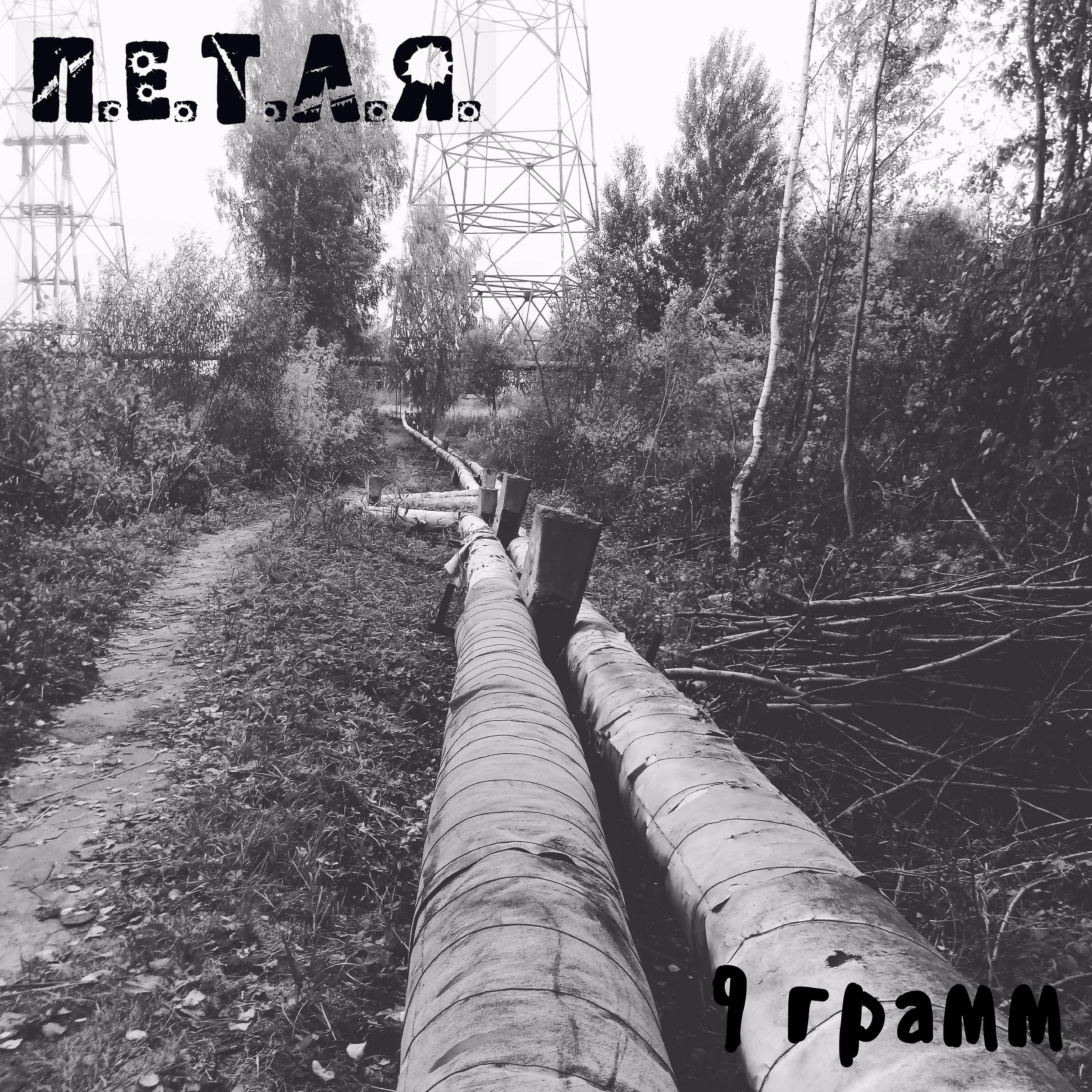 П.Е.Т.Л.Я. - Девять грамм