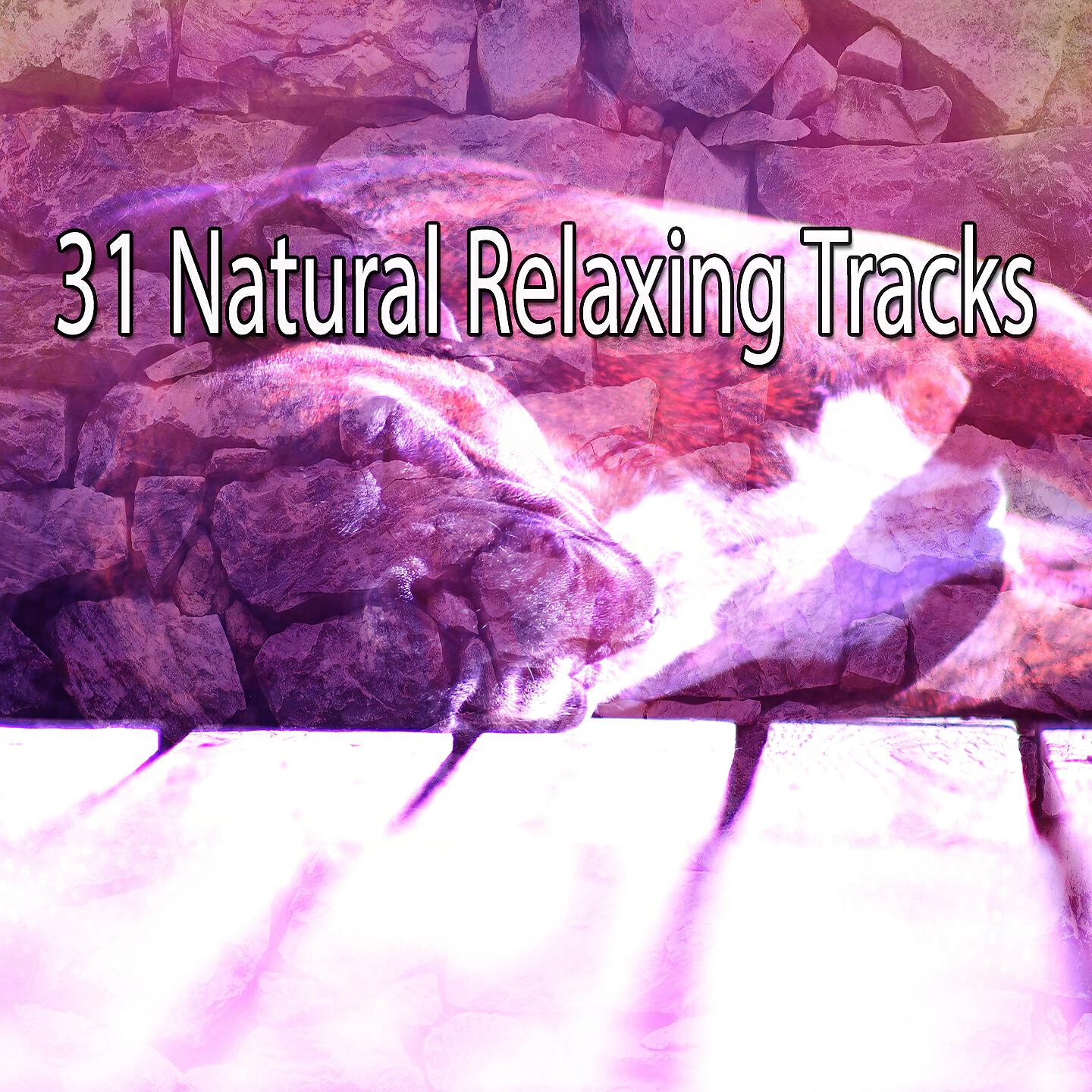 Rockabye Lullaby - Waves Of Calm