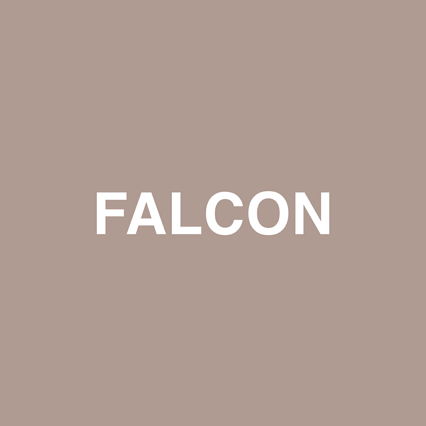 Jaden - Falcon