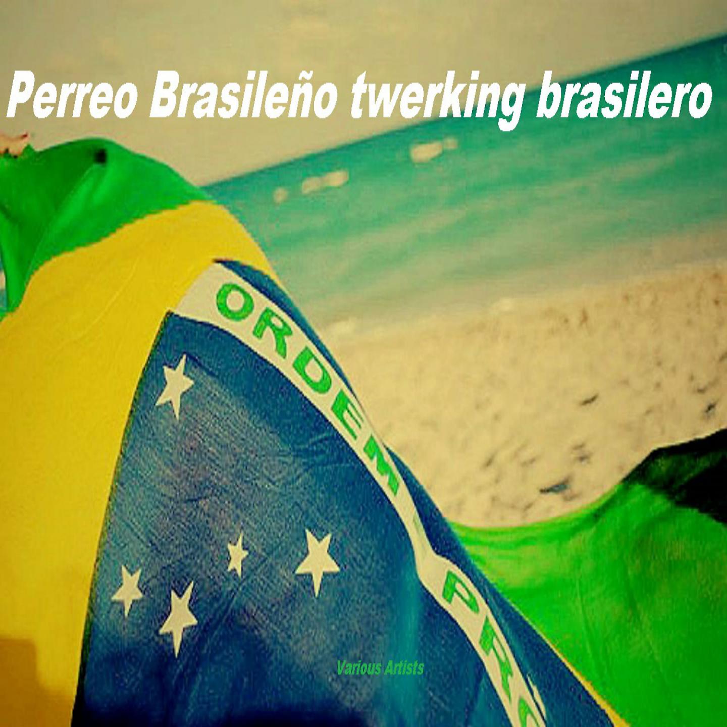Постер альбома Perreo Brasileño + Twerking Brasilero