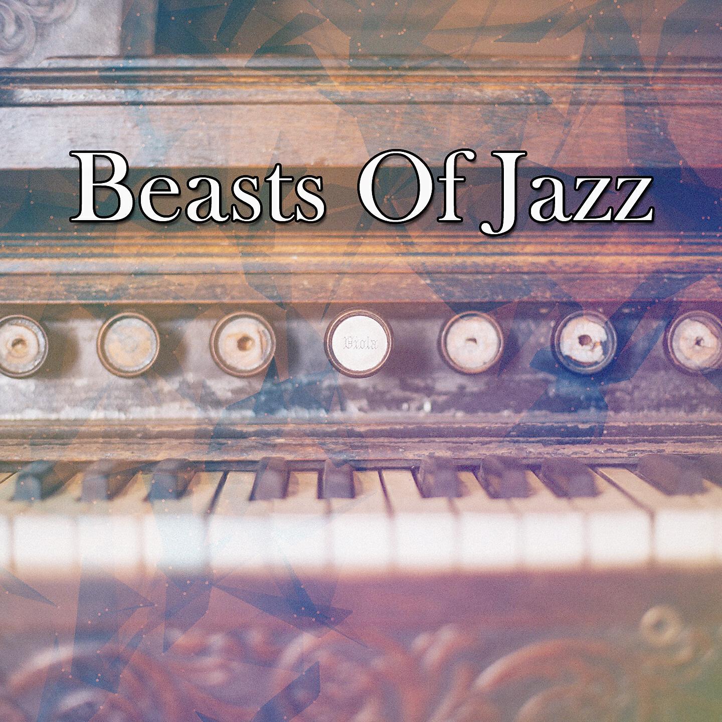 Bossa Nova - A Pretty Girl Is Like A Melody
