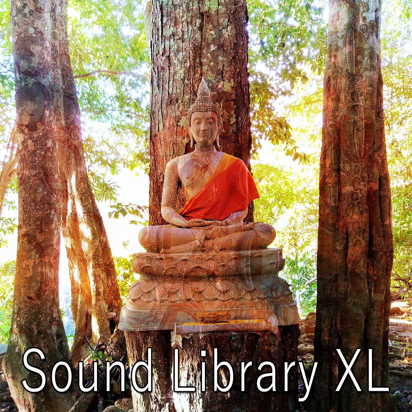 Sound Library XL - Running Rivers Of Reflection