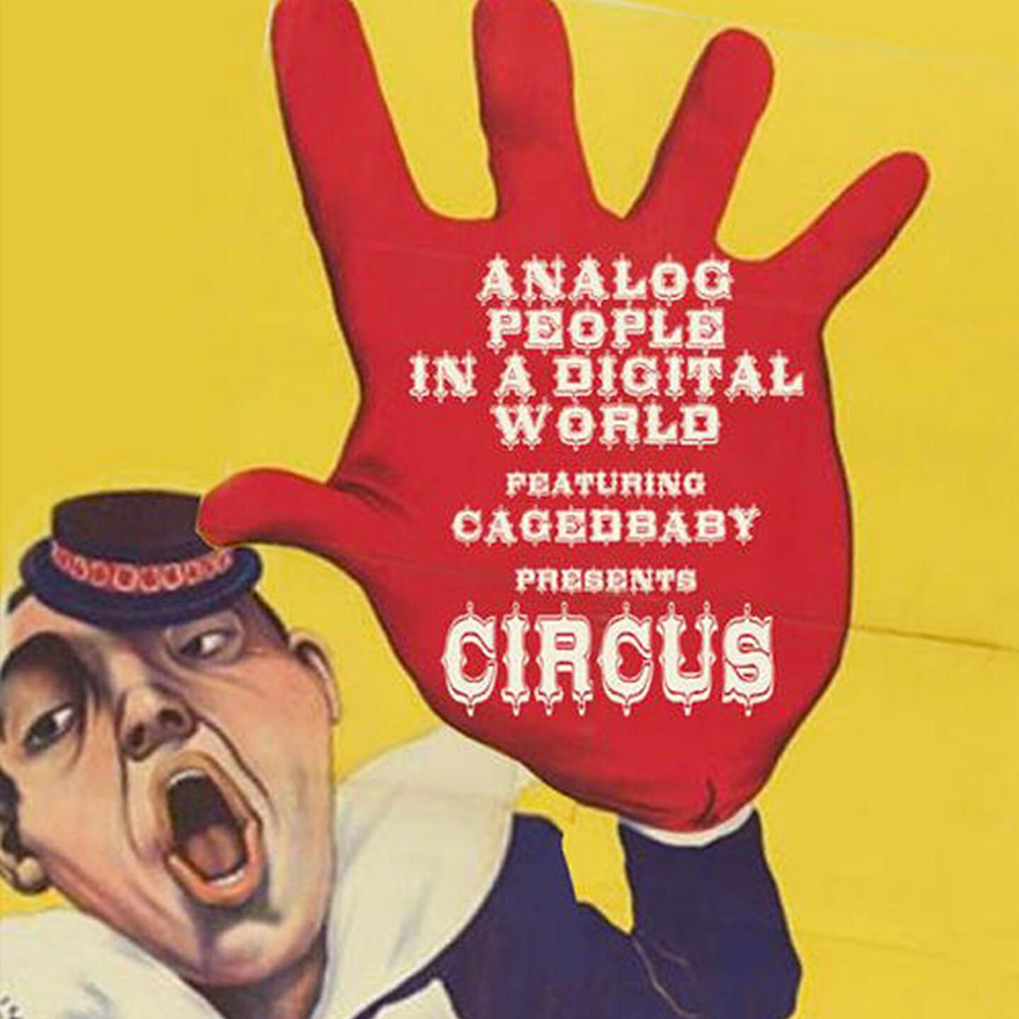 Analog People In a Digital World - Circus (Tomas Hedberg Dub Mix)