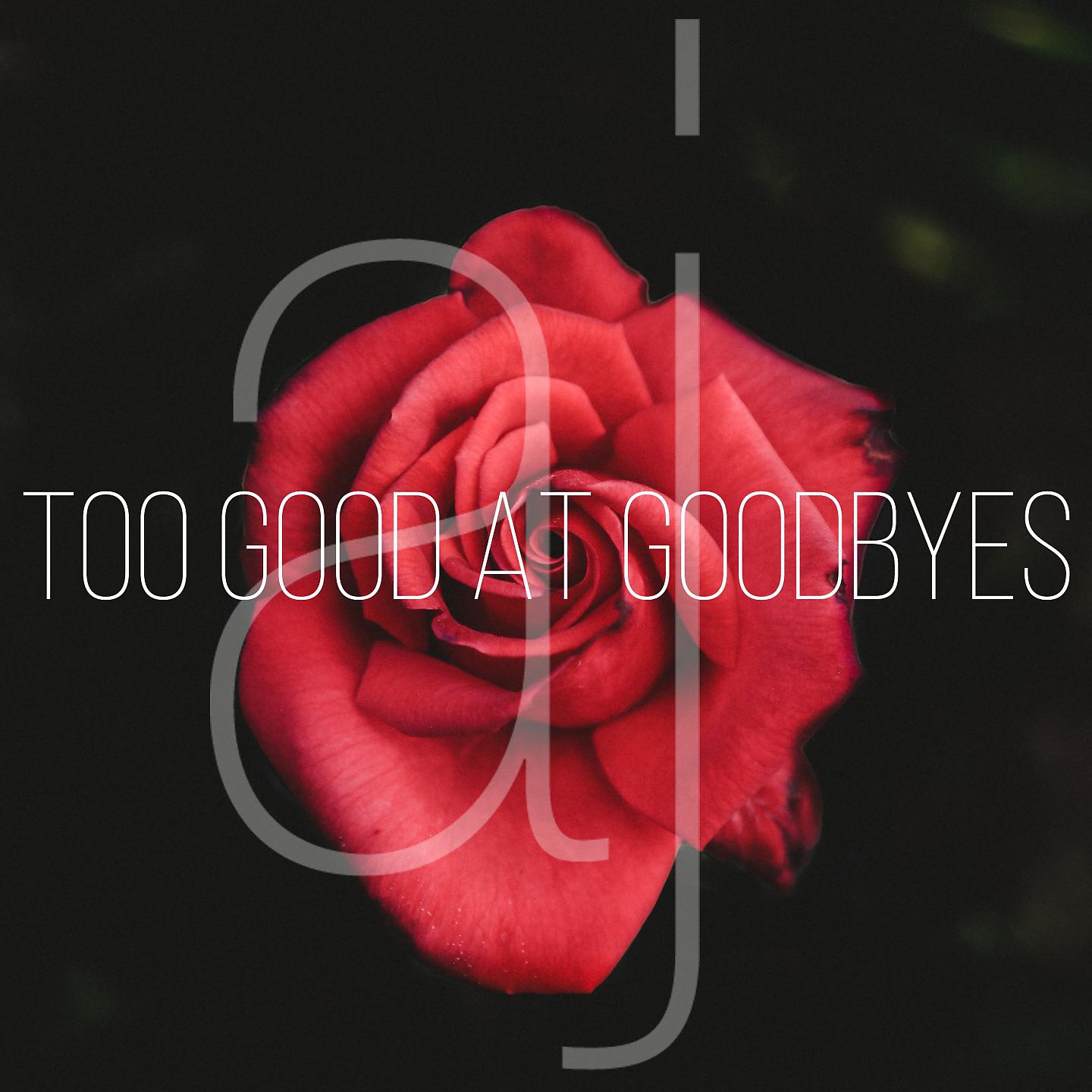 Постер альбома Too Good at Goodbyes