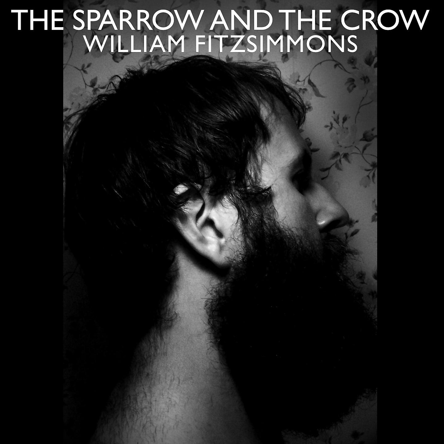 Постер альбома The Sparrow and the Crow