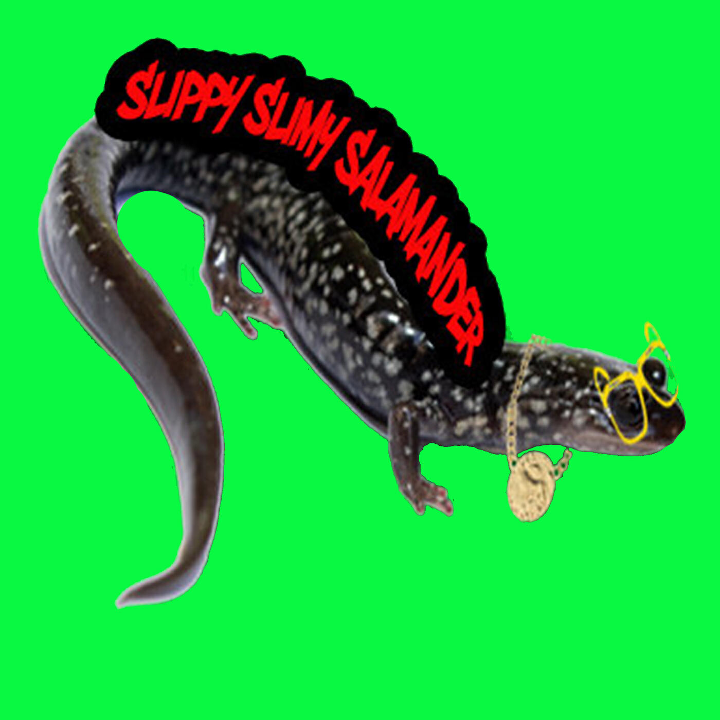 Catching Creation - Slippy Slimy Salamander