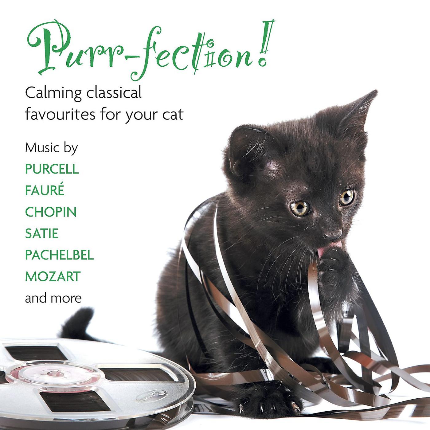 Постер альбома Purr-fection! Calming Classical Favourites For Your Cat