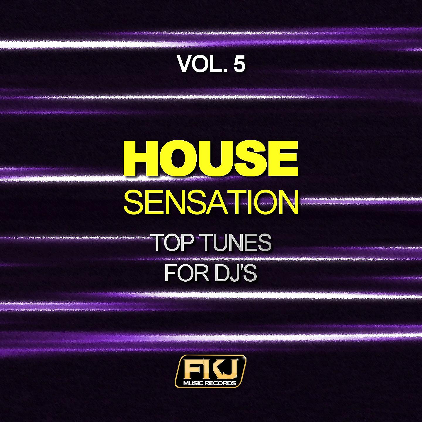 Постер альбома House Sensation, Vol. 5 (Top Tunes for DJ's)