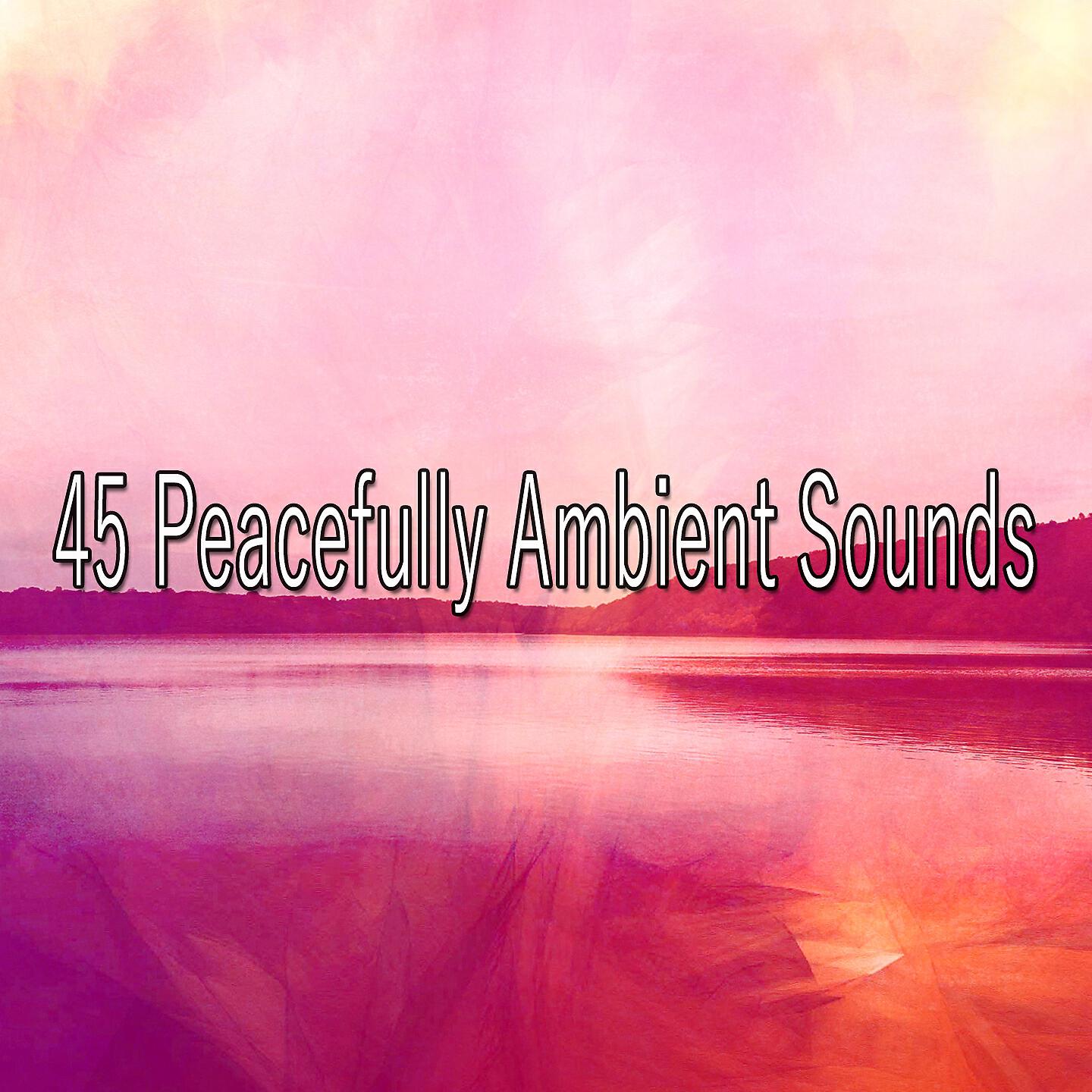 Zen Meditation and Natural White Noise and New Age Deep Massage - Echoes Of Awareness